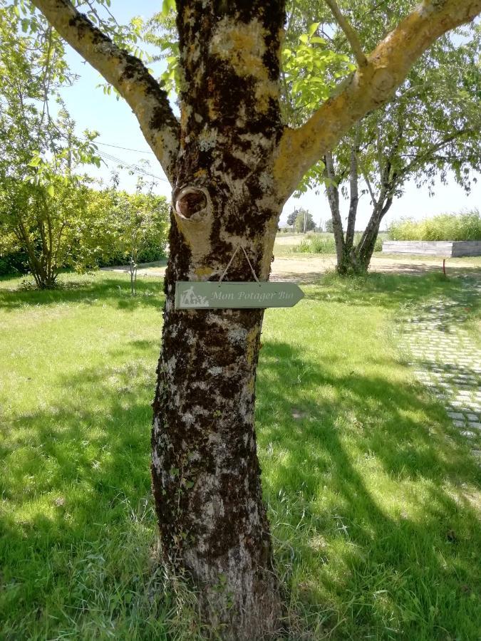 Les Rosiers La Planche Princee, Chambres D'Hotes Ecolo Et Potager Bio, Sauna מראה חיצוני תמונה
